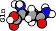Gln