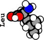 Leu