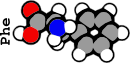 Phe